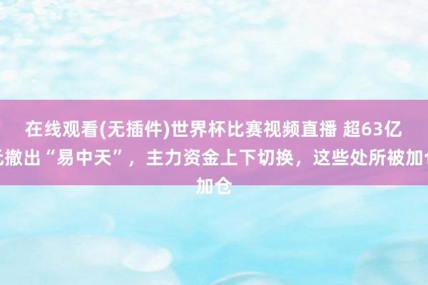 在线观看(无插件)世界杯比赛视频直播 超63亿元撤出“易中天”,主力资金上下切换,这些处所被加仓