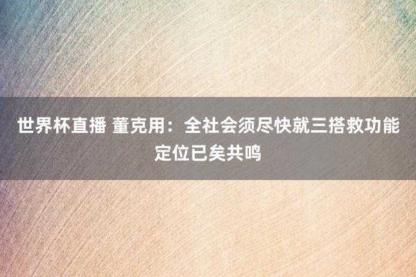 世界杯直播 董克用：全社会须尽快就三搭救功能定位已矣共鸣