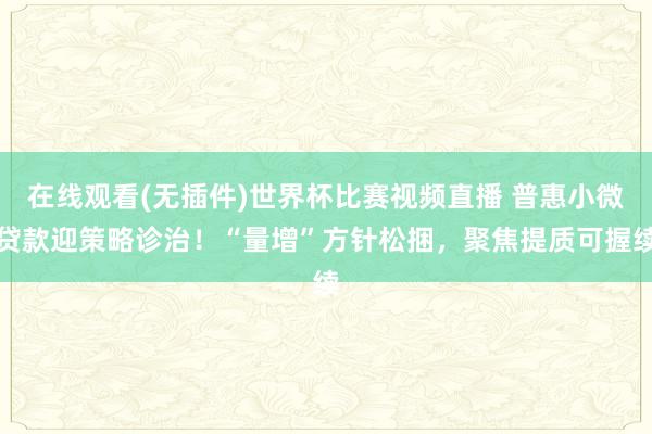在线观看(无插件)世界杯比赛视频直播 普惠小微贷款迎策略诊治！“量增”方针松捆，聚焦提质可握续