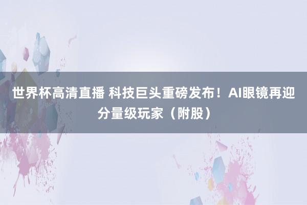 世界杯高清直播 科技巨头重磅发布！AI眼镜再迎分量级玩家（附股）