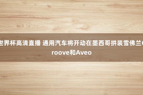 世界杯高清直播 通用汽车将开动在墨西哥拼装雪佛兰Groove和Aveo