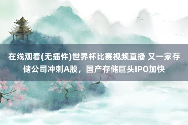 在线观看(无插件)世界杯比赛视频直播 又一家存储公司冲刺A股,国产存储巨头IPO加快