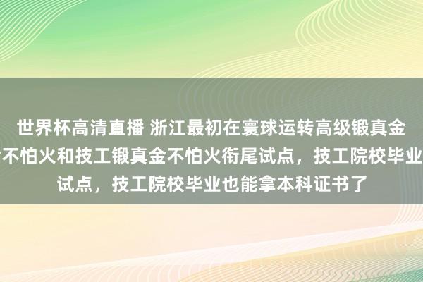 世界杯高清直播 浙江最初在寰球运转高级锻真金不怕火自学锻真金不怕火和技工锻真金不怕火衔尾试点，技工院校毕业也能拿本科证书了