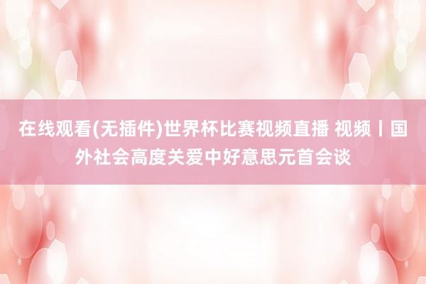 在线观看(无插件)世界杯比赛视频直播 视频丨国外社会高度关爱中好意思元首会谈