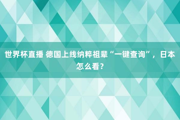 世界杯直播 德国上线纳粹祖辈“一键查询”，日本怎么看？