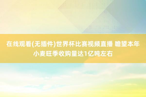 在线观看(无插件)世界杯比赛视频直播 瞻望本年小麦旺季收购量达1亿吨左右
