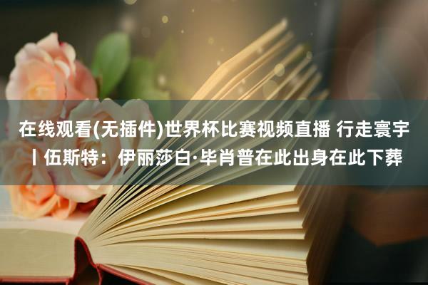 在线观看(无插件)世界杯比赛视频直播 行走寰宇丨伍斯特：伊丽莎白·毕肖普在此出身在此下葬