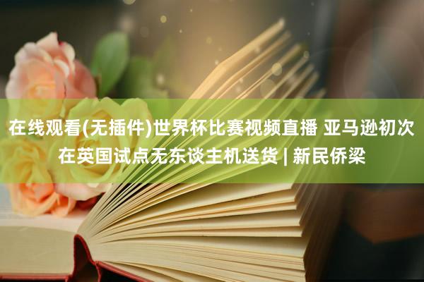 在线观看(无插件)世界杯比赛视频直播 亚马逊初次在英国试点无东谈主机送货 | 新民侨梁
