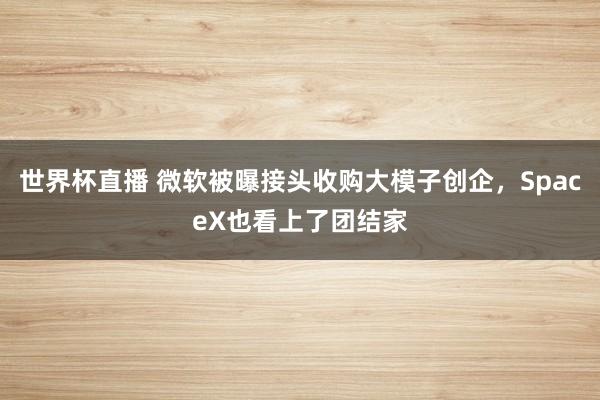 世界杯直播 微软被曝接头收购大模子创企，SpaceX也看上了团结家