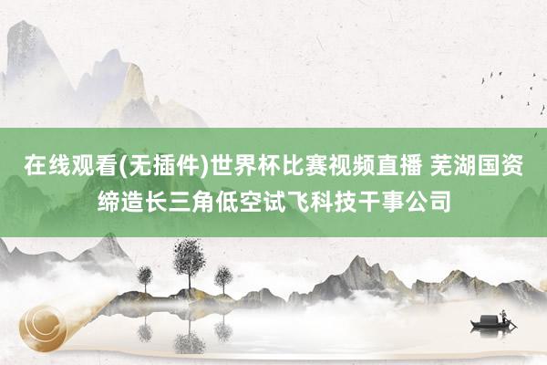 在线观看(无插件)世界杯比赛视频直播 芜湖国资缔造长三角低空试飞科技干事公司