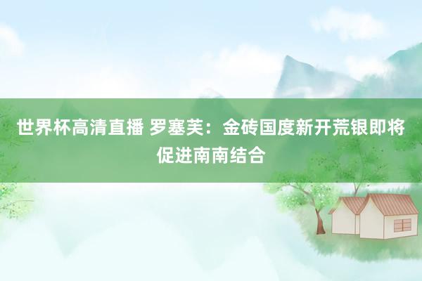 世界杯高清直播 罗塞芙：金砖国度新开荒银即将促进南南结合