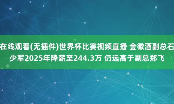 在线观看(无插件)世界杯比赛视频直播 金徽酒副总石少军2025年降薪至244.3万 仍远高于副总郑飞