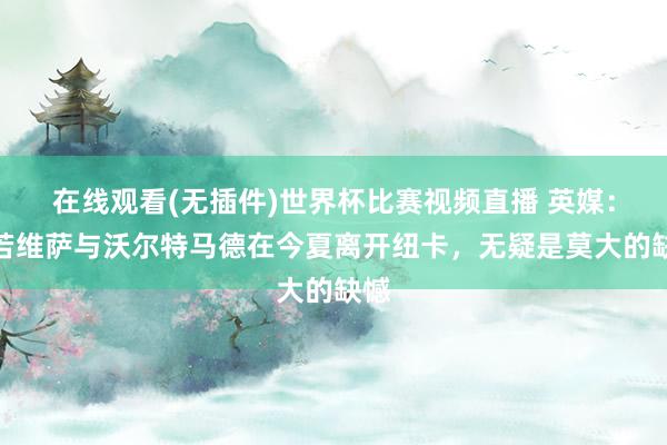 在线观看(无插件)世界杯比赛视频直播 英媒：淌若维萨与沃尔特马德在今夏离开纽卡，无疑是莫大的缺憾