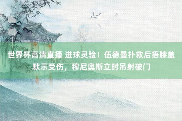 世界杯高清直播 进球灵验！伍德曼扑救后捂膝盖默示受伤，穆尼奥斯立时吊射破门