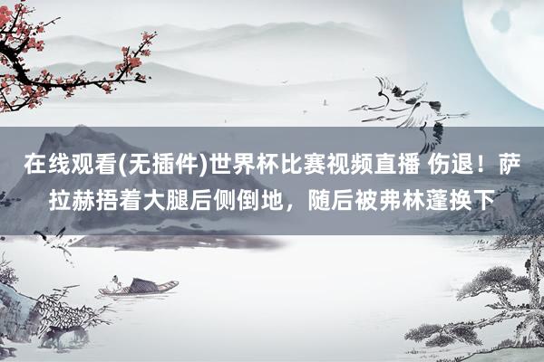 在线观看(无插件)世界杯比赛视频直播 伤退！萨拉赫捂着大腿后侧倒地，随后被弗林蓬换下