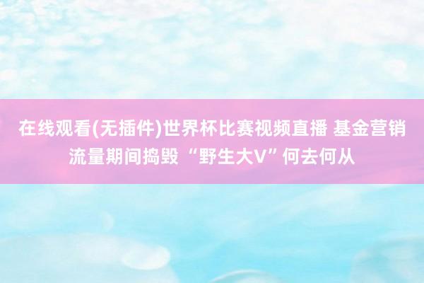 在线观看(无插件)世界杯比赛视频直播 基金营销流量期间捣毁 “野生大V”何去何从
