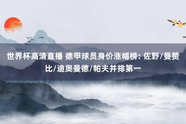 世界杯高清直播 德甲球员身价涨幅榜: 佐野/曼赞比/迪奥曼德/帕夫并排第一