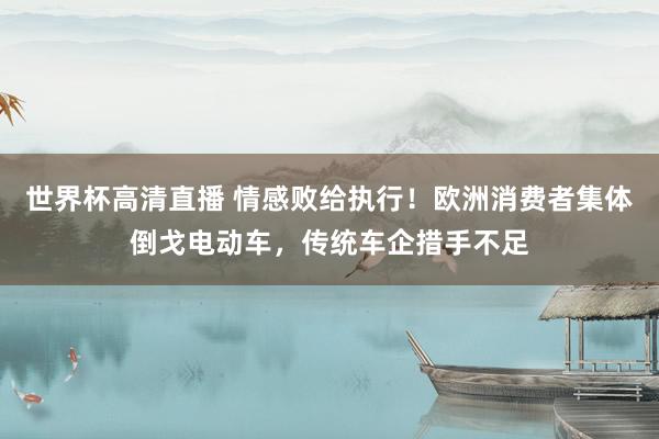 世界杯高清直播 情感败给执行！欧洲消费者集体倒戈电动车，传统车企措手不足