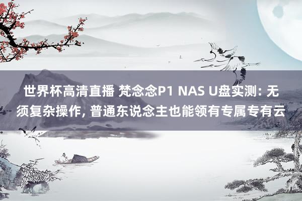 世界杯高清直播 梵念念P1 NAS U盘实测: 无须复杂操作， 普通东说念主也能领有专属专有云