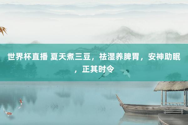 世界杯直播 夏天煮三豆，祛湿养脾胃，安神助眠，正其时令