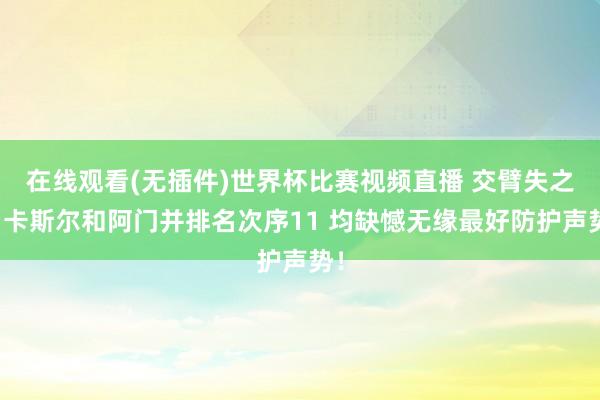 在线观看(无插件)世界杯比赛视频直播 交臂失之！卡斯尔和阿门并排名次序11 均缺憾无缘最好防护声势！