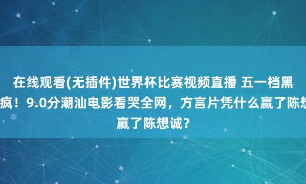 在线观看(无插件)世界杯比赛视频直播 五一档黑马杀疯！9.0分潮汕电影看哭全网，方言片凭什么赢了陈想诚？