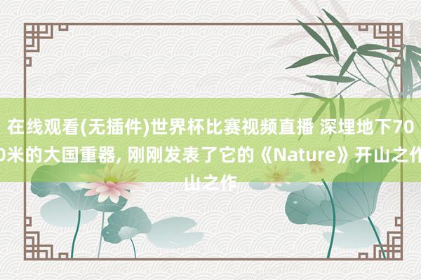 在线观看(无插件)世界杯比赛视频直播 深埋地下700米的大国重器， 刚刚发表了它的《Nature》开山之作