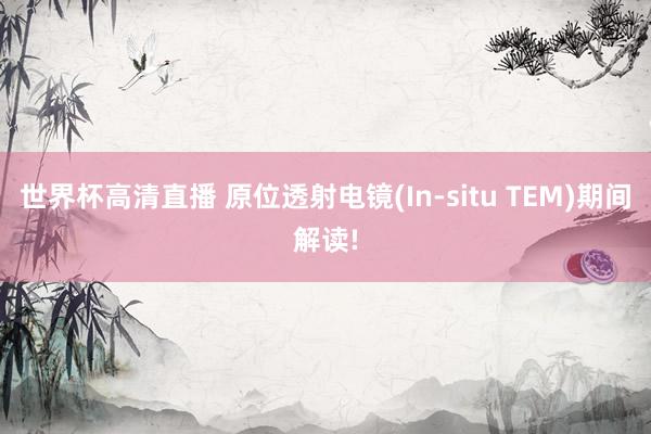 世界杯高清直播 原位透射电镜(In-situ TEM)期间解读!