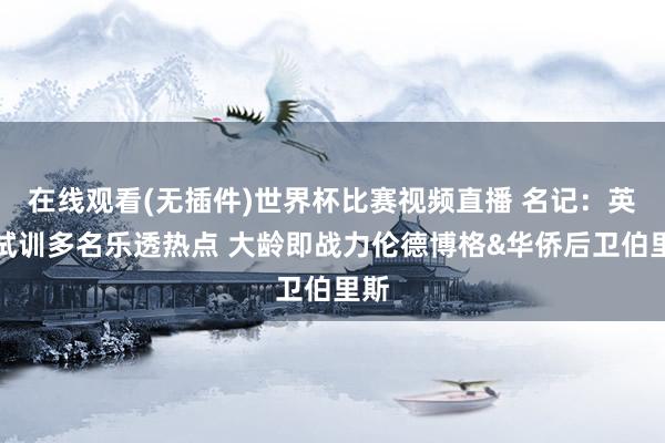 在线观看(无插件)世界杯比赛视频直播 名记:英豪试训多名乐透热点 大龄即战力伦德博格&华侨后卫伯里斯