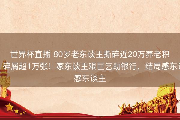 世界杯直播 80岁老东谈主撕碎近20万养老积蓄，碎屑超1万张！家东谈主艰巨乞助银行，结局感东谈主