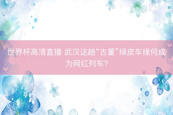世界杯高清直播 武汉这趟“古董”绿皮车缘何成为网红列车？