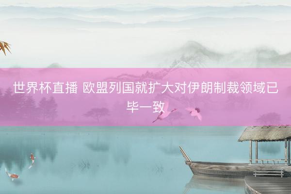 世界杯直播 欧盟列国就扩大对伊朗制裁领域已毕一致
