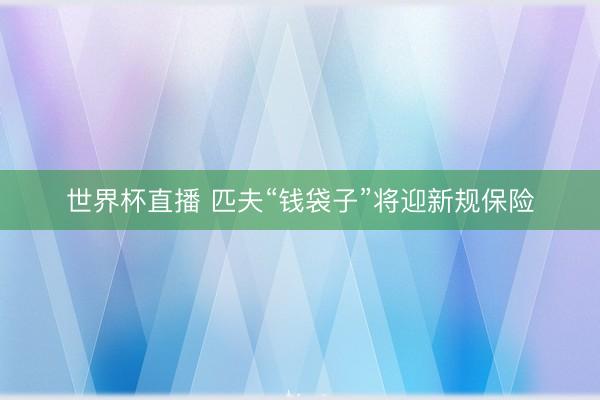 世界杯直播 匹夫“钱袋子”将迎新规保险
