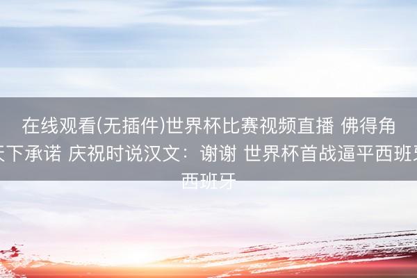 在线观看(无插件)世界杯比赛视频直播 佛得角天下承诺 庆祝时说汉文：谢谢 世界杯首战逼平西班牙