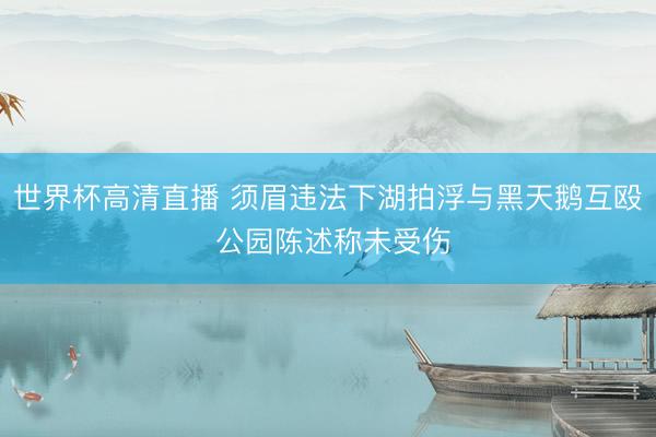 世界杯高清直播 须眉违法下湖拍浮与黑天鹅互殴 公园陈述称未受伤