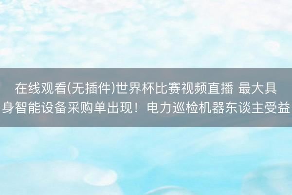 在线观看(无插件)世界杯比赛视频直播 最大具身智能设备采购单出现！电力巡检机器东谈主受益
