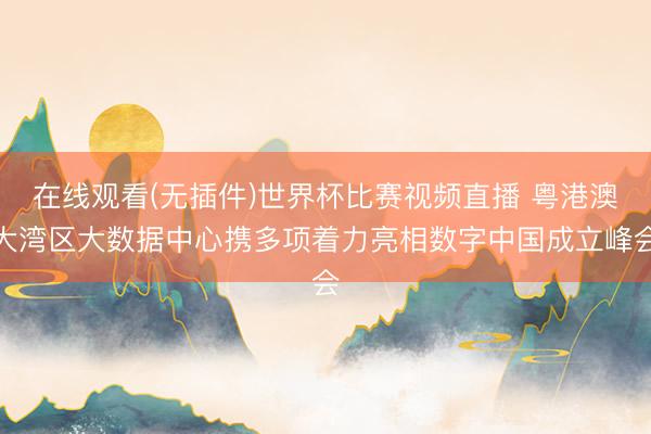 在线观看(无插件)世界杯比赛视频直播 粤港澳大湾区大数据中心携多项着力亮相数字中国成立峰会