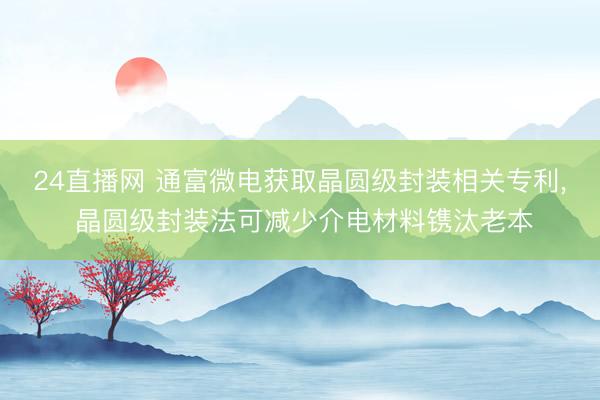 24直播网 通富微电获取晶圆级封装相关专利， 晶圆级封装法可减少介电材料镌汰老本