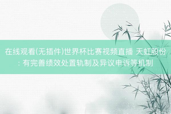 在线观看(无插件)世界杯比赛视频直播 天虹股份: 有完善绩效处置轨制及异议申诉等机制