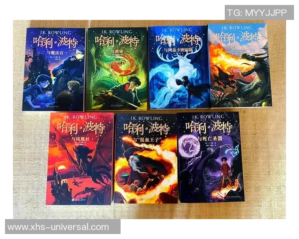 哈利波特与混血王子中的成长之路与魔法世界的阴影交织探讨