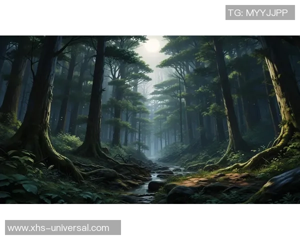 万物契约探秘隐藏副本与暗道的神秘世界之旅