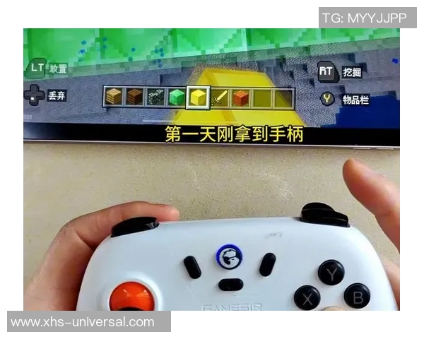 新手手柄推荐第二弹畅享游戏乐趣的最佳选择与使用指南
