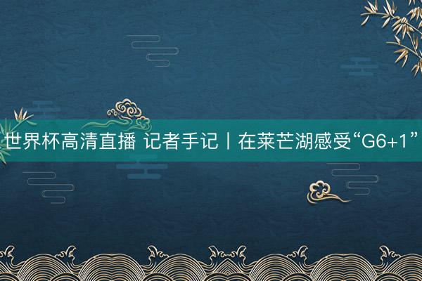 世界杯高清直播 记者手记丨在莱芒湖感受“G6+1”