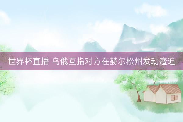 世界杯直播 乌俄互指对方在赫尔松州发动蹙迫